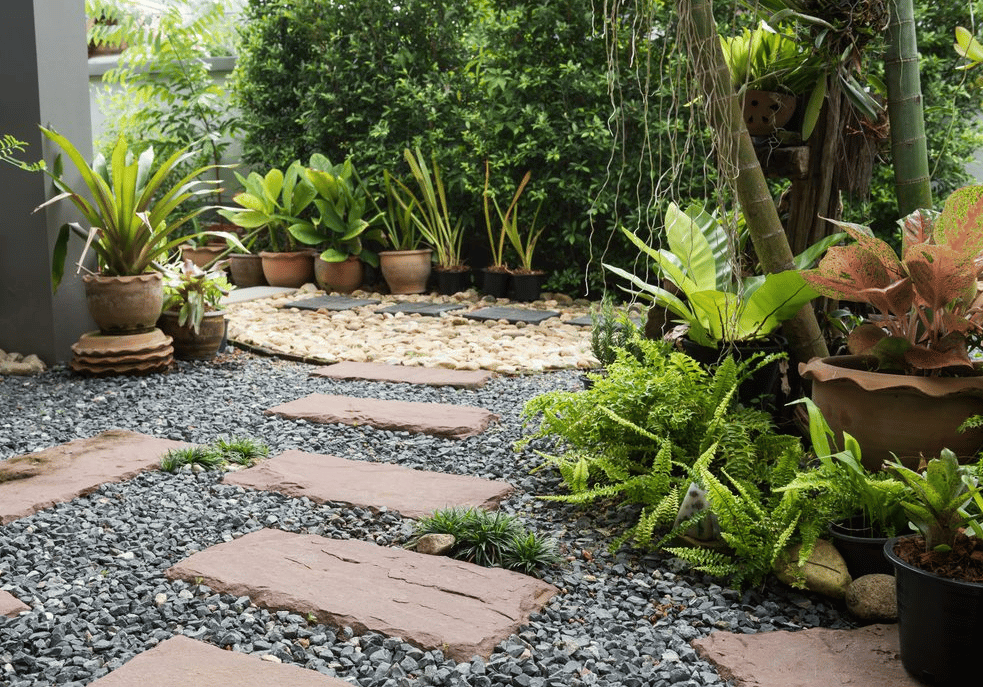 Simple Pathway In A Home Garden